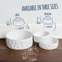 Park Life Designs Pet Bowl | Classic Water (Small, White) Small