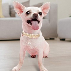 PetsHome Cat Collar, Dog Collar, [Bling Rhinestones] Premium PU Leather with …