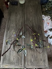 Reptile Bendable Vine for Terrarium Habitat Decor Jungle Vines for Terrarium