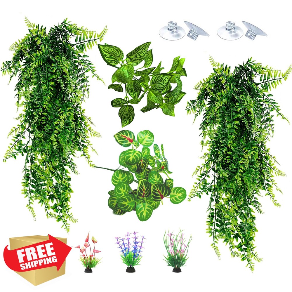 Reptile Plants Terrarium Group A