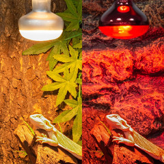 REPTI ZOO 75W Reptile Heat Lamp Bulb, 2PCS Day & Night Basking Spot Light Combo