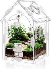 Jumping Spider Enclosure – Internal Dimensions 3.15″x3.15″x5.6″ Acrylic Terrariu