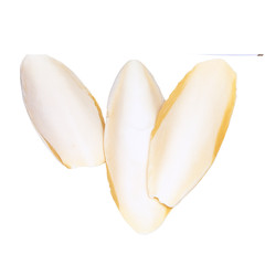 Cuttlebone 3-Pack Natural Calcium Supplement Isopods Birds Reptiles Small Pets
