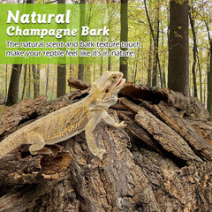 Reptile Cork Bark 1.5 Lb Flat Cork Wood for Terrarium Small Tree Bark Pieces 3.9