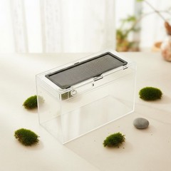 Amphibian Enclosure Anti-Escape Design Gecko Vivarium Optimal Ventilation