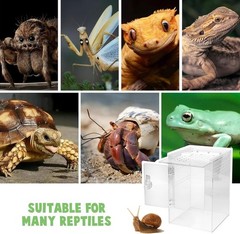 Tall Acrylic Arboreal Reptile & Insect Enclosure, 6x6x12in, Clear