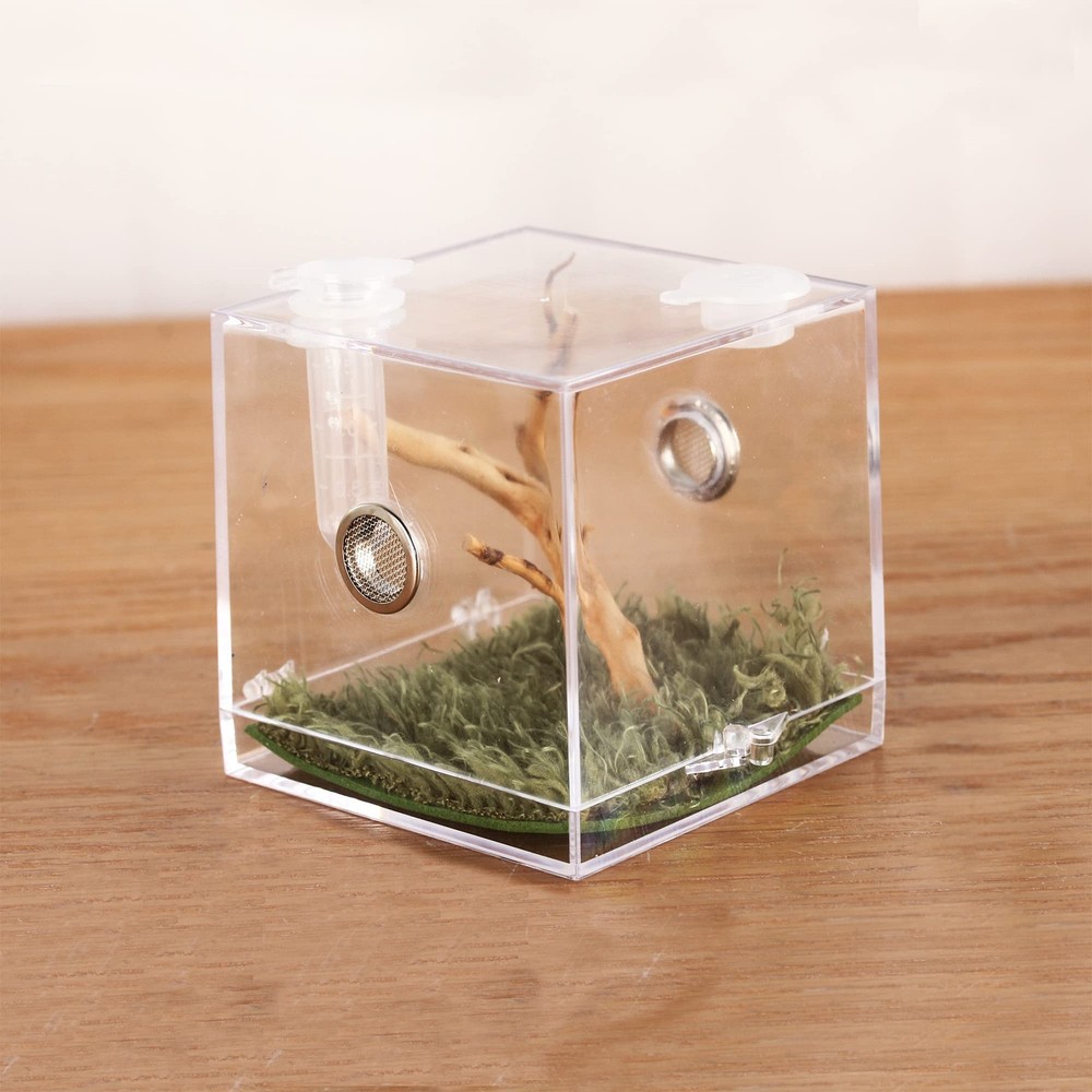 Jumping Spider Micro Big Habitat, Small Pet Insect Breeding Box, 360 Degree H…