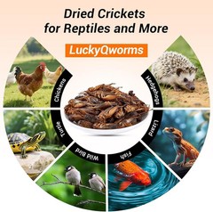 1LB Dried Crickets Food for Bearded Dragons, Wild Birds, Chicken, Fish, Reptiles