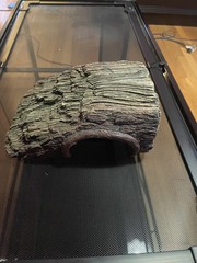 50 gallon reptizoo terrarium, good condition, 36″ x 18″ x 18″, cleaned