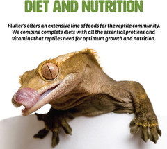 Freeze Dried Insects, Nutrient, Packed Mealworms, Ideal for Lizards, Reptiles, B
