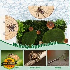 Catcan Jumping Spider Accessories Kit, Complete Terrarium Decoration Set with…