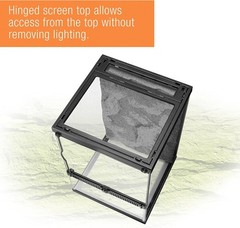 11 Gallon Glass Tropical Vertical Habitat Starter Kit for Small Tree Dwelling
