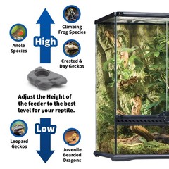 Silicone Gecko Feeding Ledge – Magnetic Mini Food Dish for Reptile Tank – 4.1…