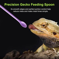 5pcs Crested Gecko Tank Accessories Wall Climbing Gecko,3pcs Grass Green Leaf