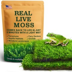 Live Moss Duo Pack 2 Types of Real Live Sheet/Sphagnum Moss for Terrariums, T…