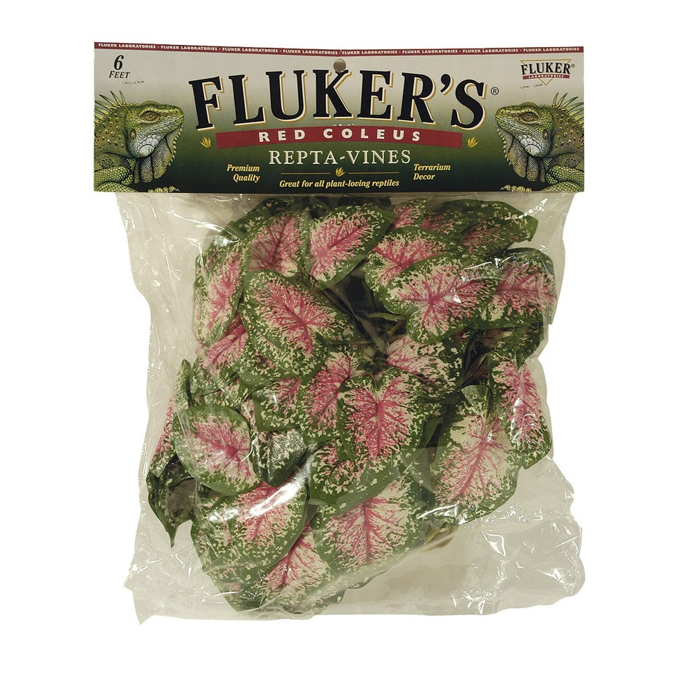 Fluker Repta Vine Red Coleus