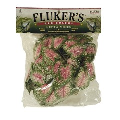Fluker Repta Vine Red Coleus