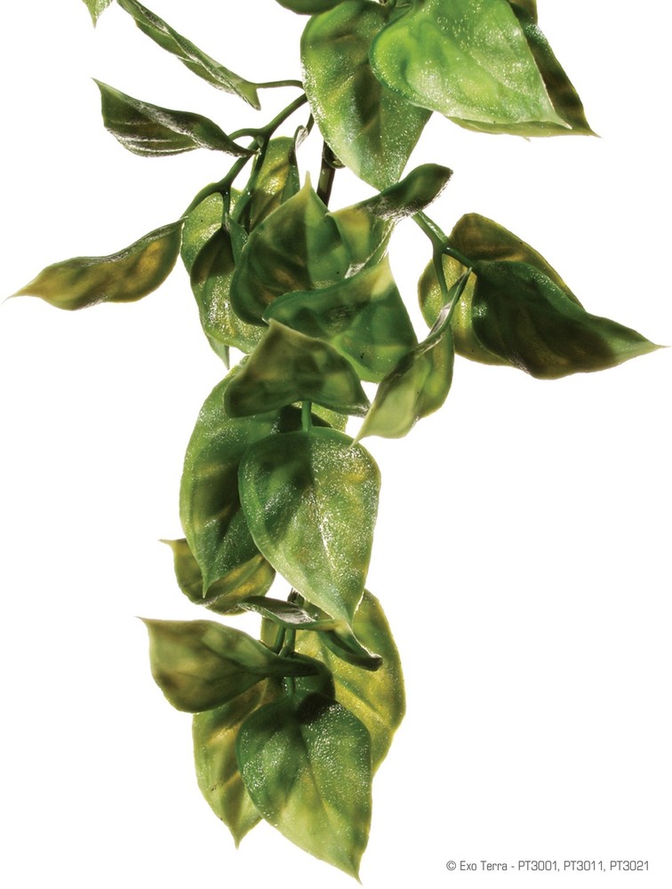 Exo-Terra Plastic Plant Small Amapallo