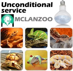 Efficient 75W Reptile Heating Bulbs – Basking Light for Lizard and Turtle