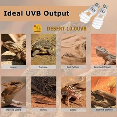 UVB 10.0 Reptile Light 26W, Compact Coil Desert Bulb for Bearded Dragons, Liz…