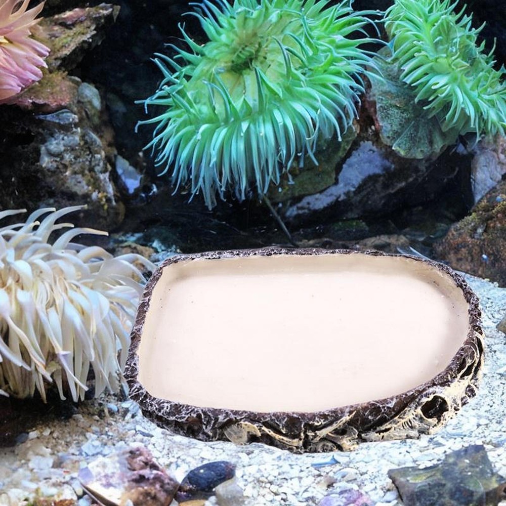 Reptile Food Dish Bowl Amphibian Feeding Bowl Pet Aquarium Ornament Terrarium