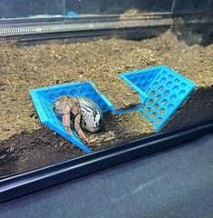 Hermit Crab Tank Decor Underground Tunnel Hideout Cave Hermit Crab Accessories
