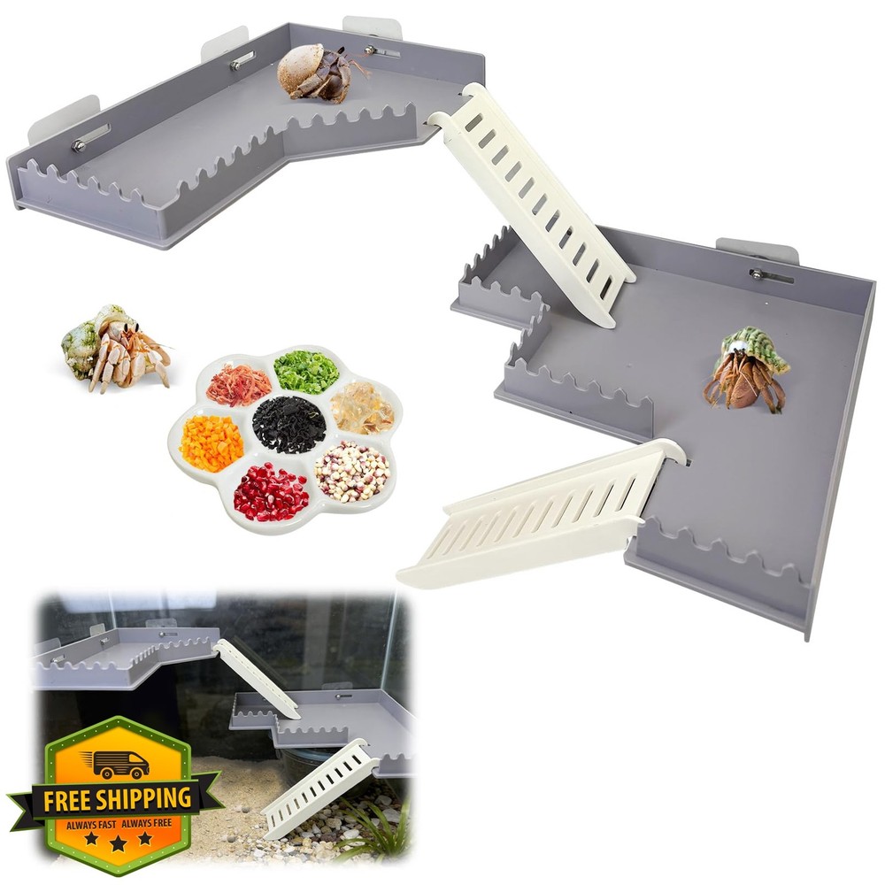 Apatal Hermit Crab Platform Gray