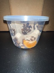 Dubia Roaches Multiple Sizes Free Shipping On All Orders