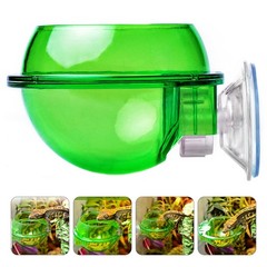 4 Pcs Reptile Feeding Basin Feeder Bowl Gecko Water Dish for Reptiles