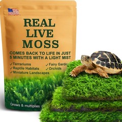 Live Moss 3-Pack for Reptile Enclosures & Terrariums,Fresh Reptiles Substrate