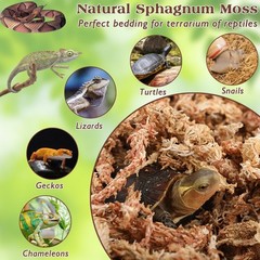 6 oz Premium Sphagnum Moss Reptiles 8 qt Dried Long Fiber Terrarium Bedding