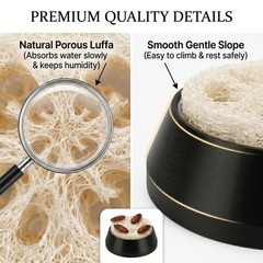 Dubia Roach Water Dish,Tiny Feeding Dish with 5 Luffa Inserts for Isopods, Sp…