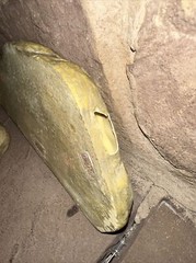 Reptile Waters Feeders Magnetic Hide Rock