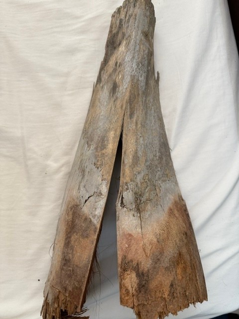 All Natural Palm bark- 2-3 pieces. Great for isopods and vivariums