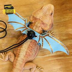 Bearded Dragon Reptile Harness and Leash Set, 3 Adjustable Sizes Dragon Wing Des