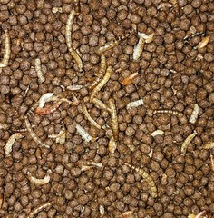 Aquatic Plus Turtle food 4oz – 48oz.
