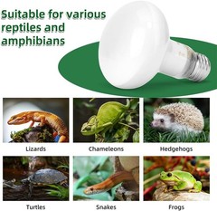 2-Pack 100W Reptile Heat Lamp 100W Amphibians Basking Light Bulb UVA Heat Lamp