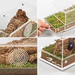 ReptiZoo Magnetic Acrylic Mini Terrarium 8x4x4 Insect Box NEW