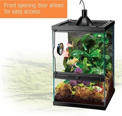 11 Gallon Glass Tropical Vertical Habitat Starter Kit for Small Tree Dwelling