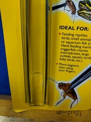 BRAND NEW Zoo Med Stainless Steel Feeding Tongs 10″REPTILES BIRDS HAND FEED Bugs