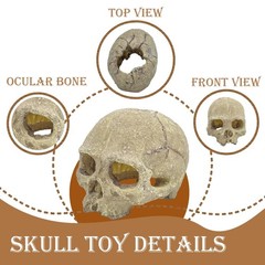 Bearded Dragon Skull Hide Decor,Reptile Natural Seagrass Hammock Lizard Loung…