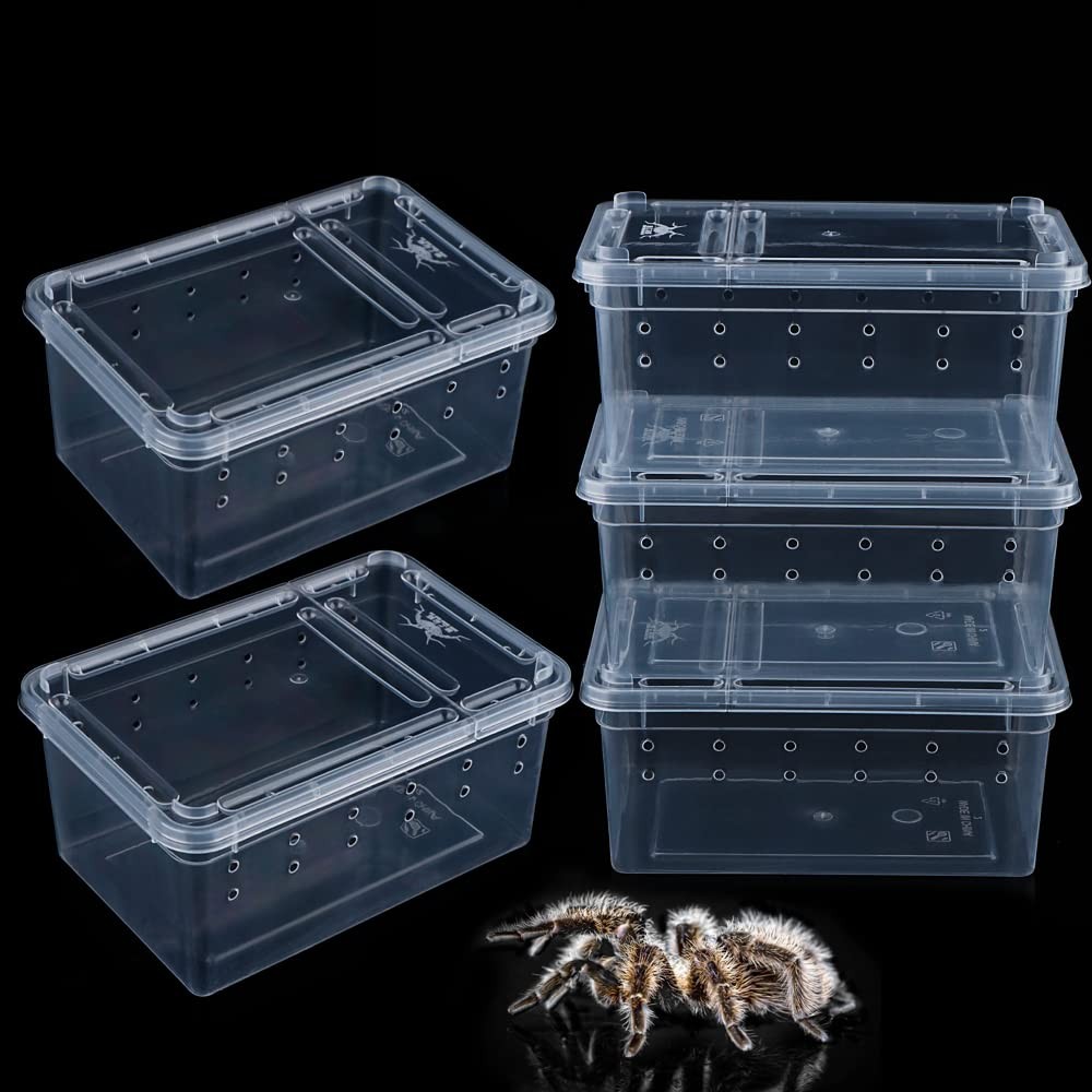 5 PCS Small Spider Terrariums, Transparent Reptile Breeding Box Hatching Case