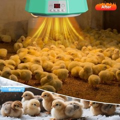 Cozy Coop Chicken Coop Heater, 100-400 Watt, Safe Radiant Space Heat w/ Control