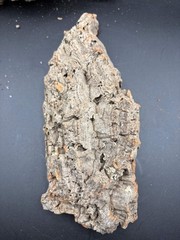 Small Cork Bark