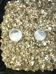 Organic Sterile Vermiculite for Terrariums Planting and incubators