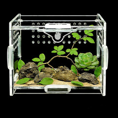 Acrylic Insect Terrarium & Reptile Habitat Kit – Multi-Purpose Bug Enclosure for
