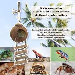 Cabaña de coco para gecko, madriguera de coco lagarto con escalera y accesorios