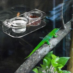 Suction Cup Feeding Bowl Reptile Gecko Ledge Magnetic Dish & Water