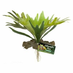 ZOO MED NATURALISTIC FLORA -STAGHORN FERN -FOR TERRARIUMS OR PALUDARIUMS – BU-65