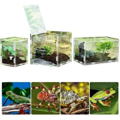 Clear Reptile Feeding Insect Box Acrylic Container Lizards Spider Breeding Case